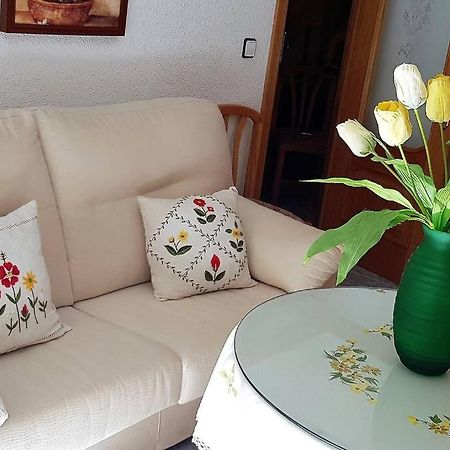 Apartamento Armonia:Centrico, Tranquilo Y Acogedor Elda Exteriér fotografie